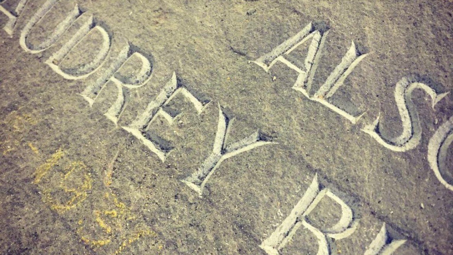 PHOTO 2022 02 02 11 15 02